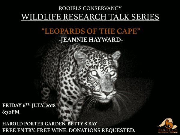 July 2018 talk: Leopards in the Cape